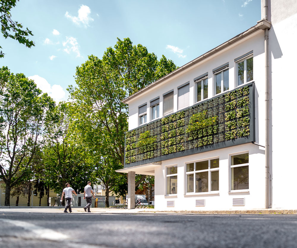 Fassadenbegrünung Wien Energie
